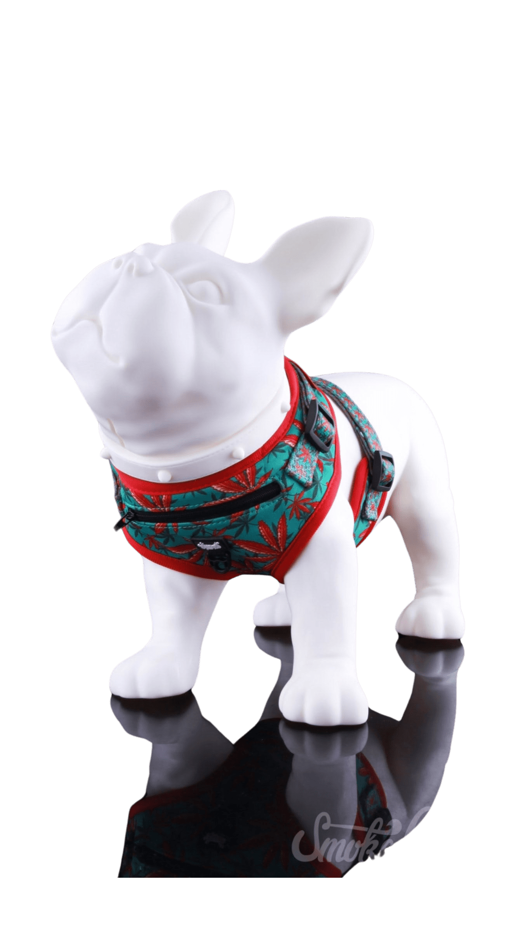 A close-up shows the Dog Harness, featuring a patterned strap and buckle, displayed against a plain white background. A close-up shows the Dog Harness, featuring a patterned strap and buckle, displayed against a plain white background.