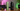 Best Portable Vaporizers: Top Picks for 2026