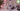 How Percolator Styles Boost Smoothness: Every Type Explained