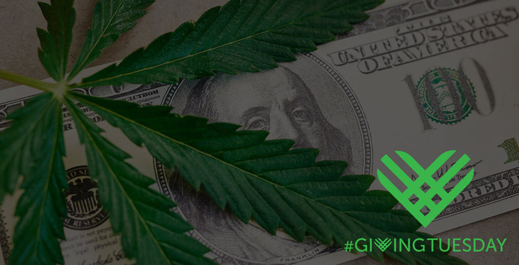 6 Cannabis Charities and Nonprofits to Donate to this Giving Tuesday
