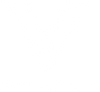 V Syndicate White Logo