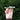 Handheld close-up of an olive-green ONGROK Aluminum and Glass Chillum Pipe held horizontally against a blurred green hedge background.