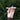 Handheld horizontal view of the ONGROK Aluminum and Glass Chillum Pipe in metallic pink held between fingertips against a blurred green hedge background