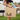 Side view of a woman carrying a cardboard box and a blue and green Bong Pong Set against a marina backdrop.