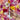 A close-up, angled view of the Day 510 Vape Battery against a vibrant background of pink and yellow roses.