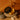 Close-up of the black and gold DankStop Famous Design - Astral Power Aluminum 2 stage Grinder resting open on smooth stones with dried stems and seashells in warm lighting