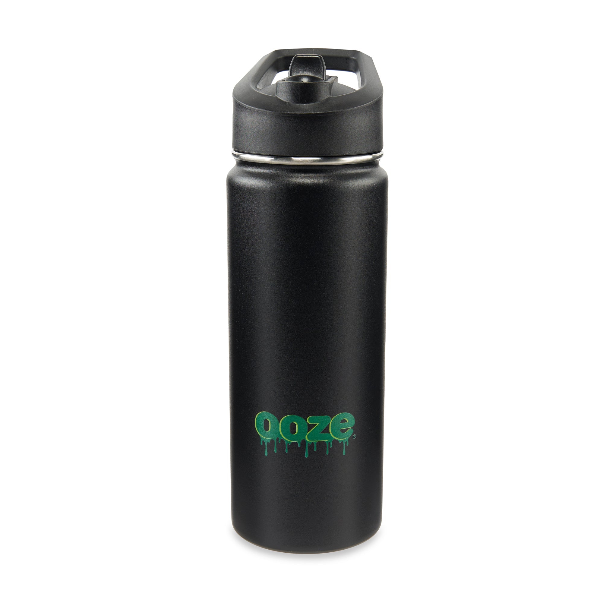 Stainless Steel Water Bottle with Straw