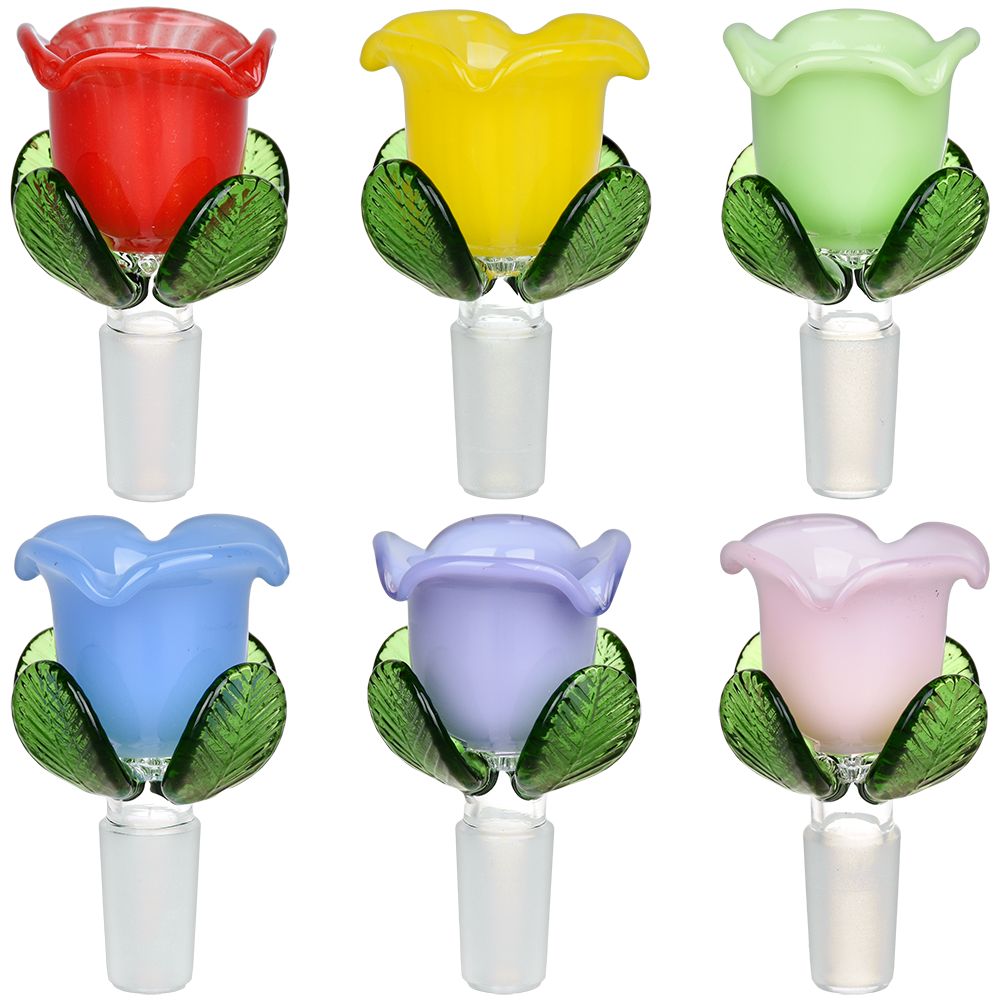 Colorful Roses Herb Slide Assorted 6-Pack