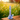 Close-up, front view of the Bongs USA Floral Silicone Bong with blue floral pattern on white, set on a wooden table against a sunlit wildflower field.