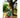 Handheld close-up of a green Pulsar APX Wax V3 Concentrate Vape held upright in front of a sunlit park tree with blurred foliage behind.