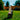 Close-up, low-angle view of the HoneyStick Ripper eRig - 4000mAh sitting on sunlit grass with a blurred backyard fence and trees.