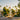A close-up view of the Whistler Rig on a concrete surface, with a blurred, sunny background of trees and buildings.