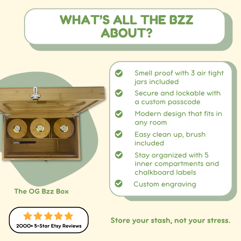 Bzz Box The Treasure Chest (XL Stash Box)