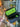 A hand holds open the Travel Odor Proof Case, revealing a bright green interior against a dark gray exterior.