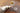 Nectar collector Nectar Collector Honeybird Pro Hammer Kit