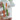 BDD Wholesale Space King Gummy Worms Water Pipe