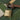 Close-up of a brass padlock and leather strap on green fabric of the Revelry Supply The Overnighter - Smell Proof Small Duffle.