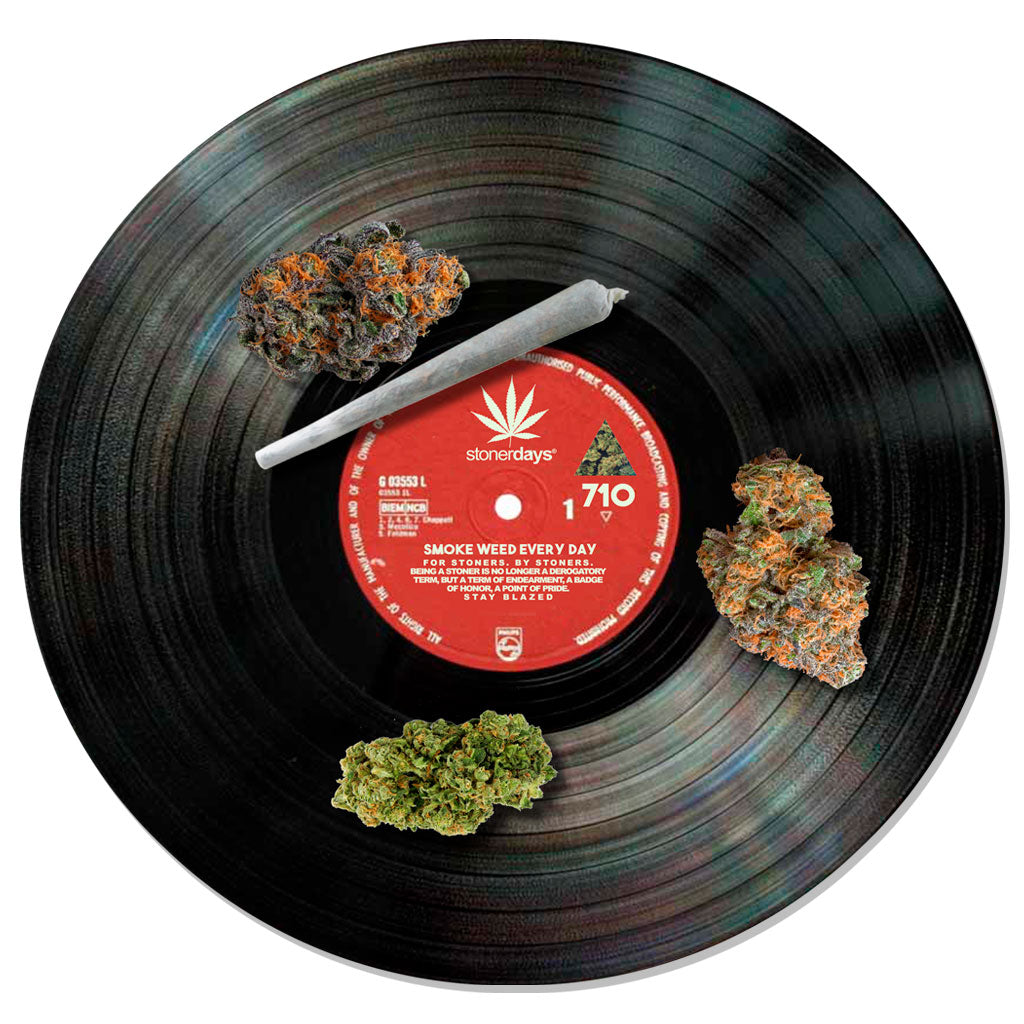 LP Vinyl Record Dab Mat