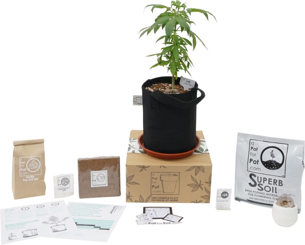 '+1 Expansion Pot Grow Kit