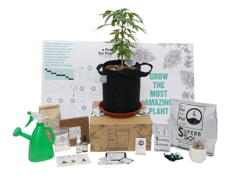 Small Complete Pot Grow Kit (2 gallon)