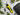 A close-up shows the TrimCraft9 Precision Automatic Trimming Scissor with a yellow and black handle, lying on a dark surface.