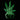 Front view of the 3D Cannabis Leaf Lamp, a vibrant green, stylized leaf design illuminated against a dark background.