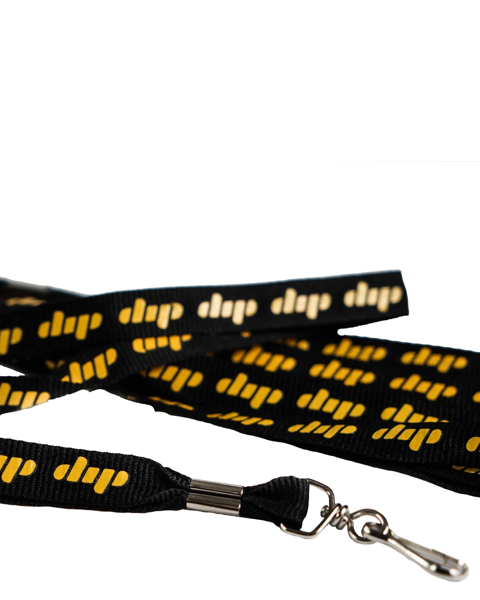 Lanyard