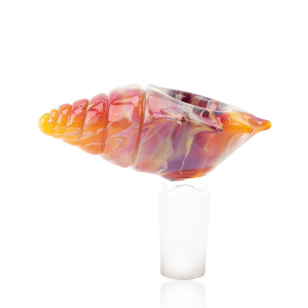 Seashell Bowl Piece