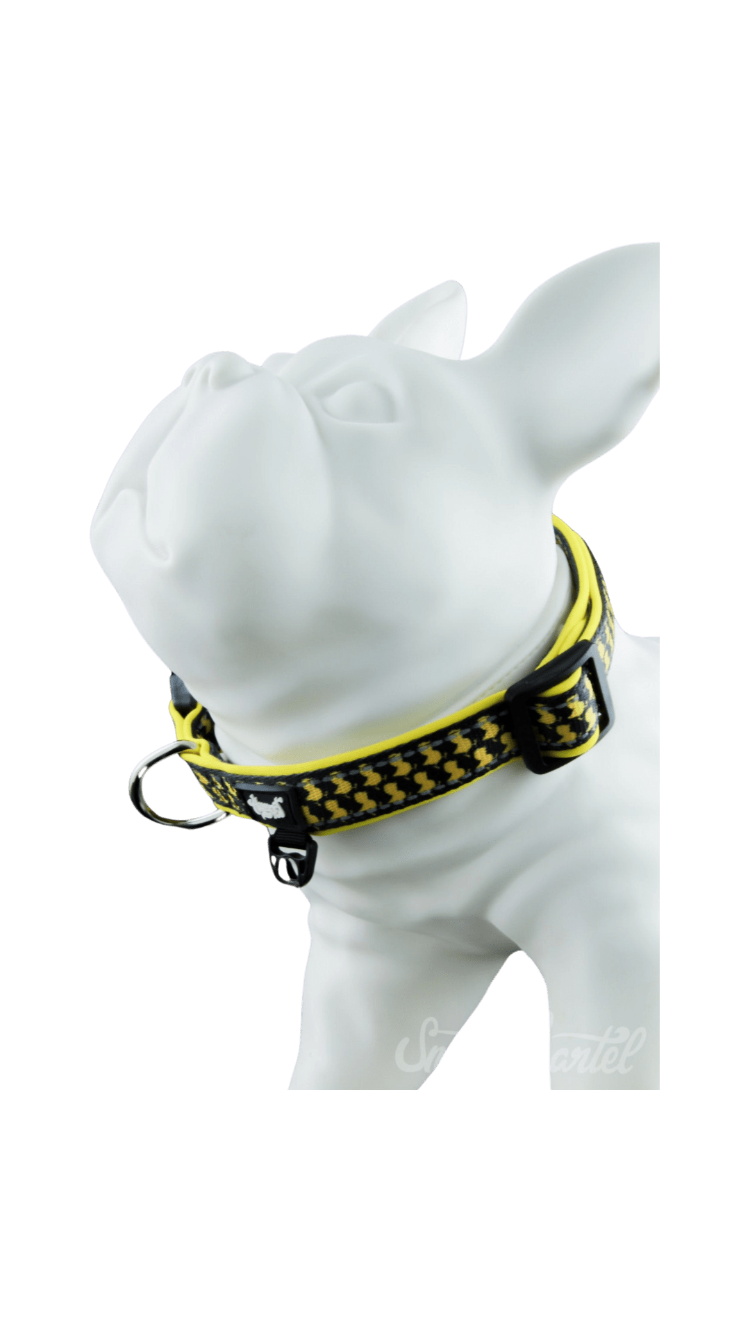 Pet Collar V2