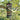 The Mesh Herb Drying Net hangs from a branch, showcasing its tiered, cylindrical shape against a leafy green background.
