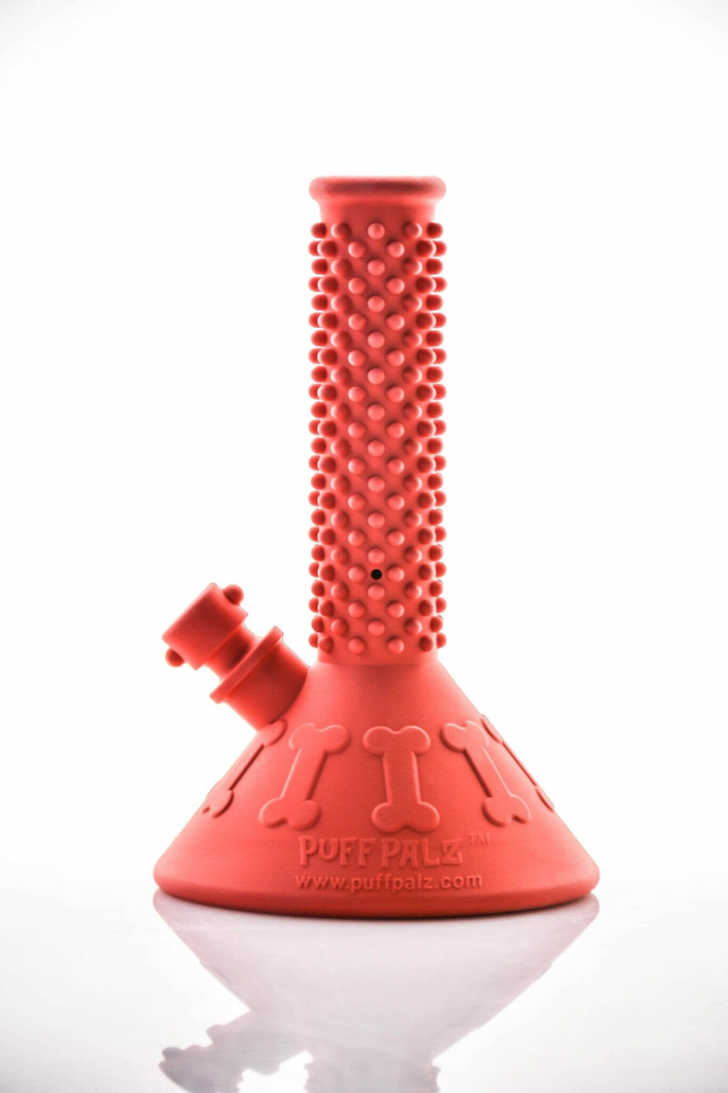 Beaker Buddy Dog Toy